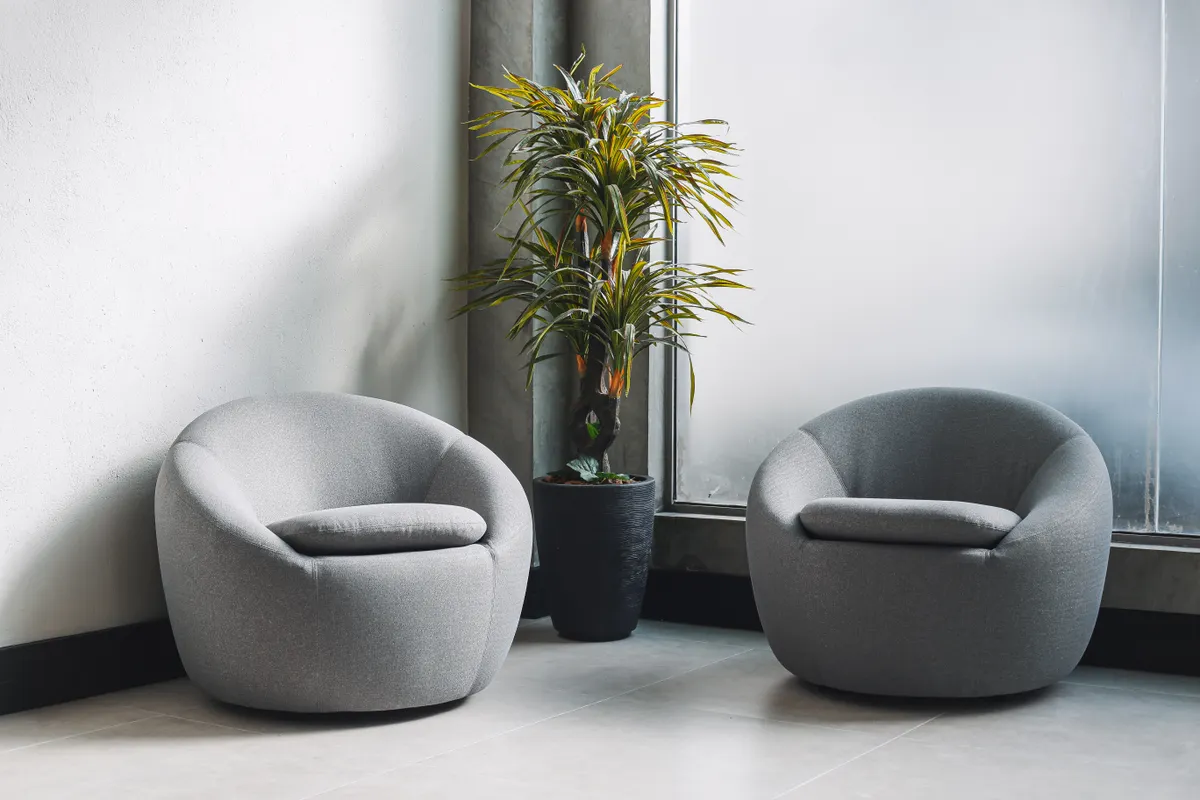 Duas poltronas e uma planta em um ambiente iluminado.